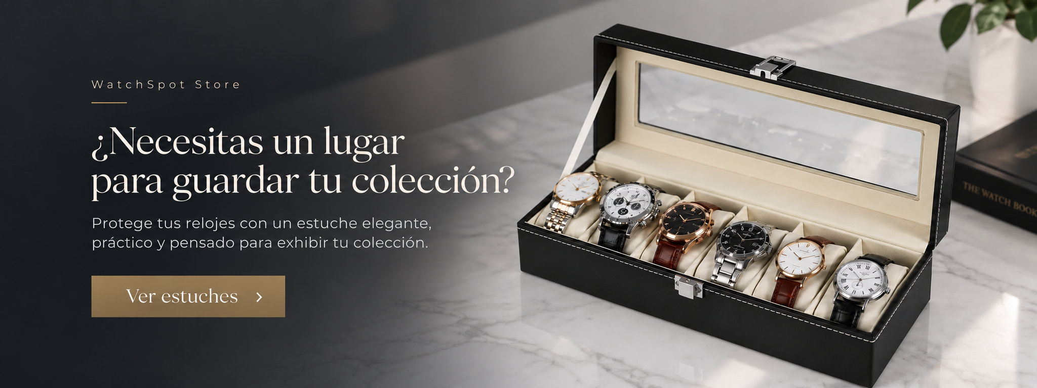 Estuches para relojes WatchSpot Store